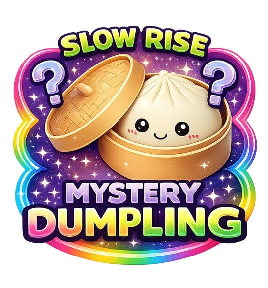 A stylized graphic of a cute dumpling in a steamer basket with the lid open, surrounded by rainbow accents and the text 'SLOW RISE' and 'MYSTERY DUMPLING' on a white background.
